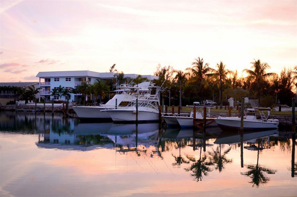 Villa Dolphin Cove (Adults Only) Freeport Exterior foto