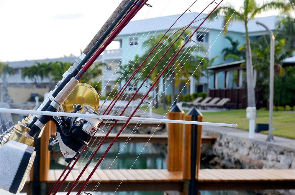 Villa Dolphin Cove (Adults Only) Freeport Exterior foto